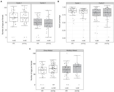 Male Age Influences Re-mating Incidence and Sperm Use in Females of the Dengue Vector Aedes aegypti